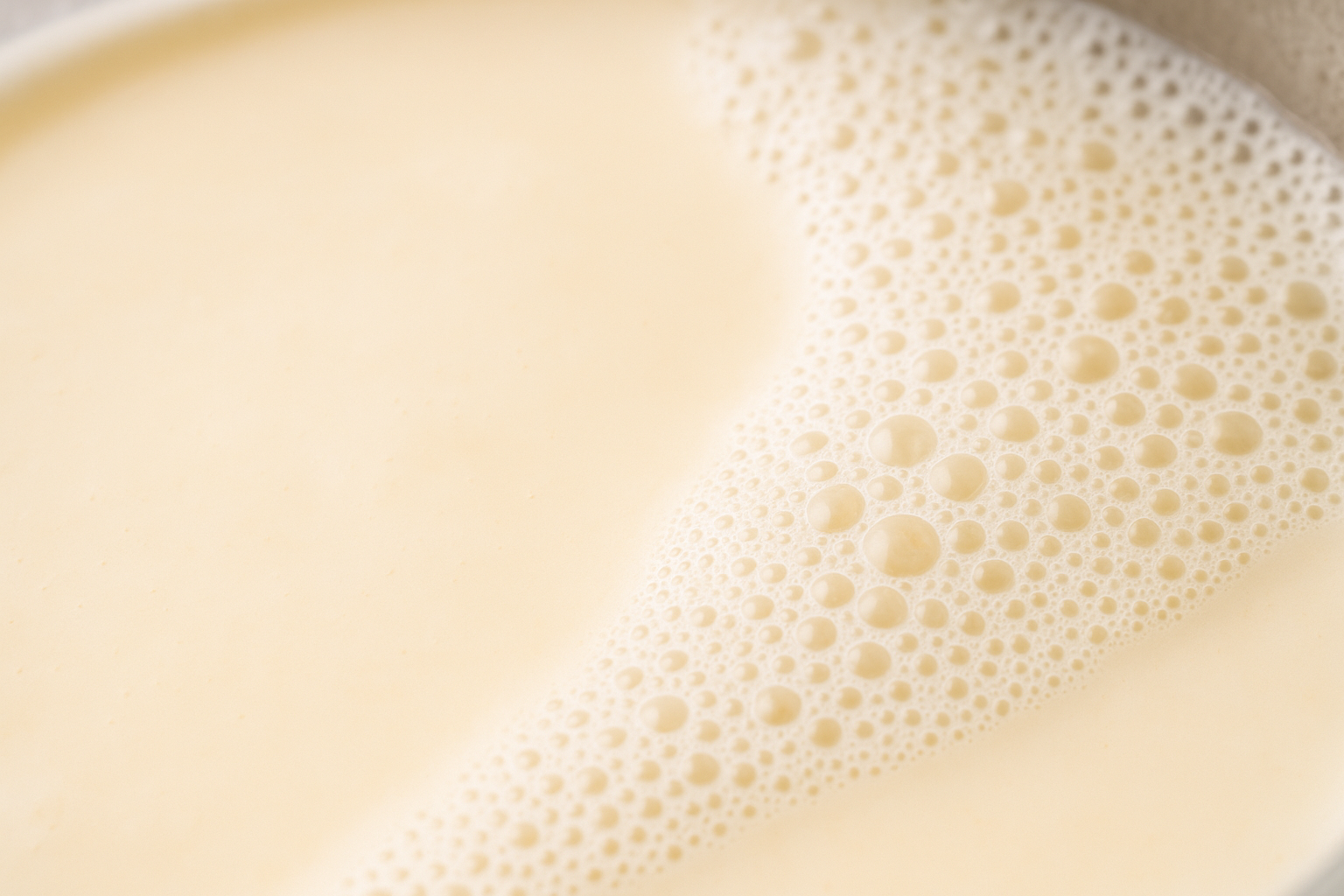 Homemade Soy Milk — soy milk recipe