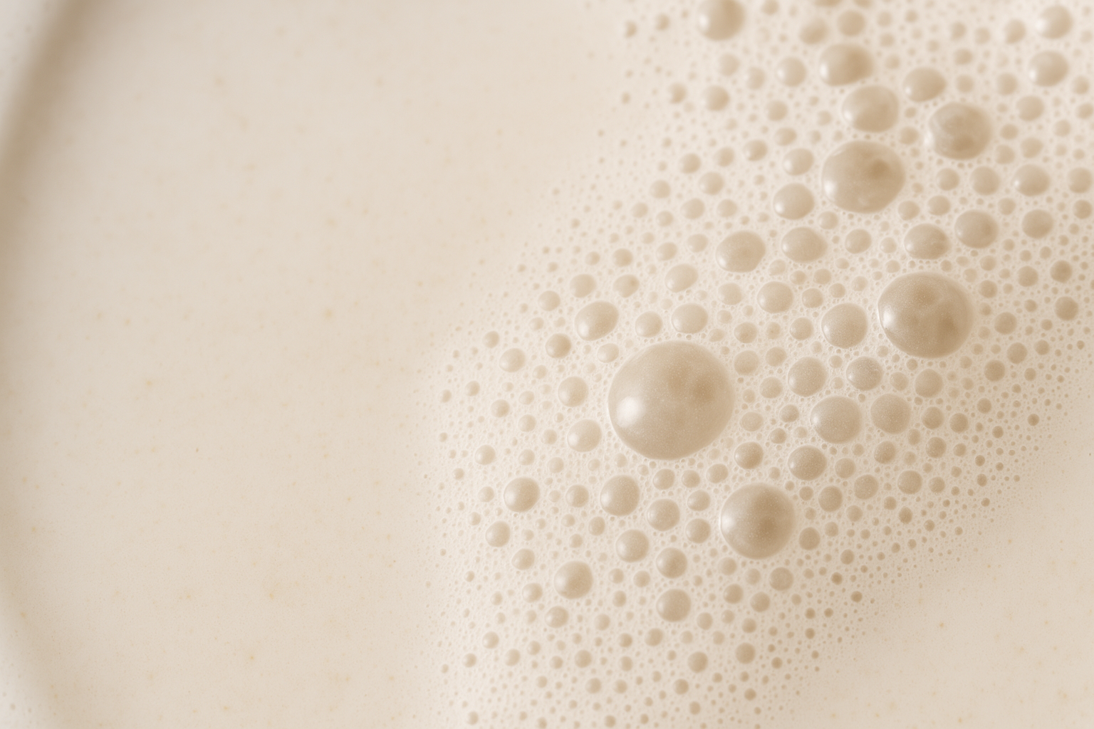 Homemade Hemp Milk — hemp milk recipe