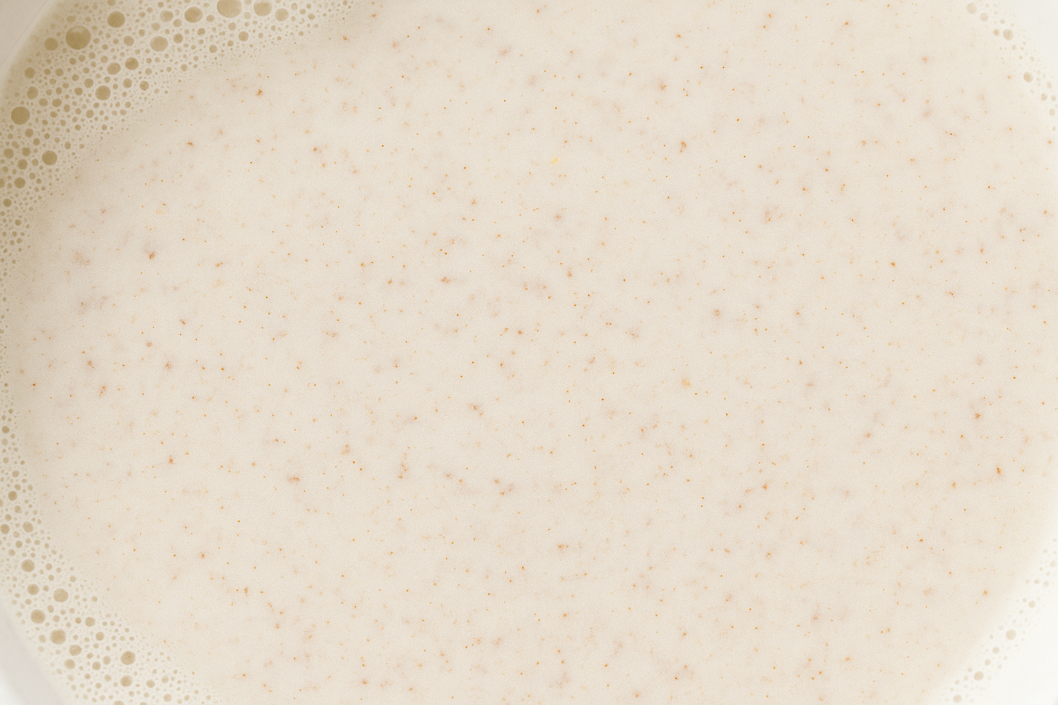 Homemade Hazelnut Milk — hazelnut milk recipe
