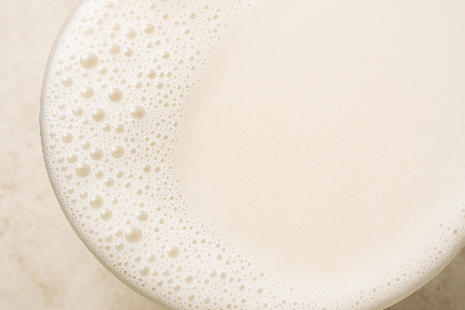 Homemade Sunflower Seed Milk — plant milk recipe